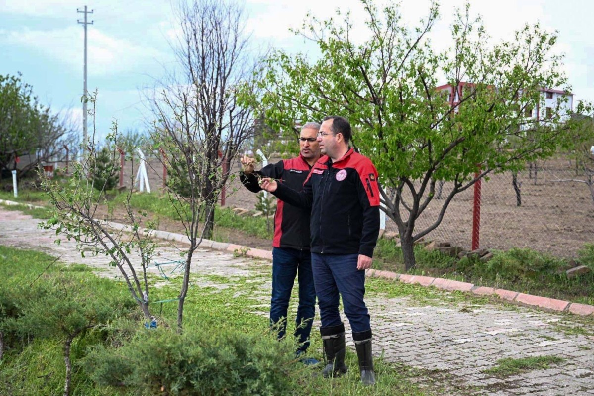 İl Müdürü Saklav’dan Doludan Zarar Gören Tarım Alanlarında İnceleme