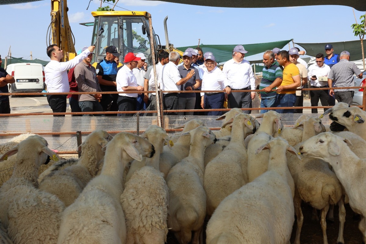 Büyükşehir’in Kurban Pazarlarına Otobüs Seferleri Başlıyor