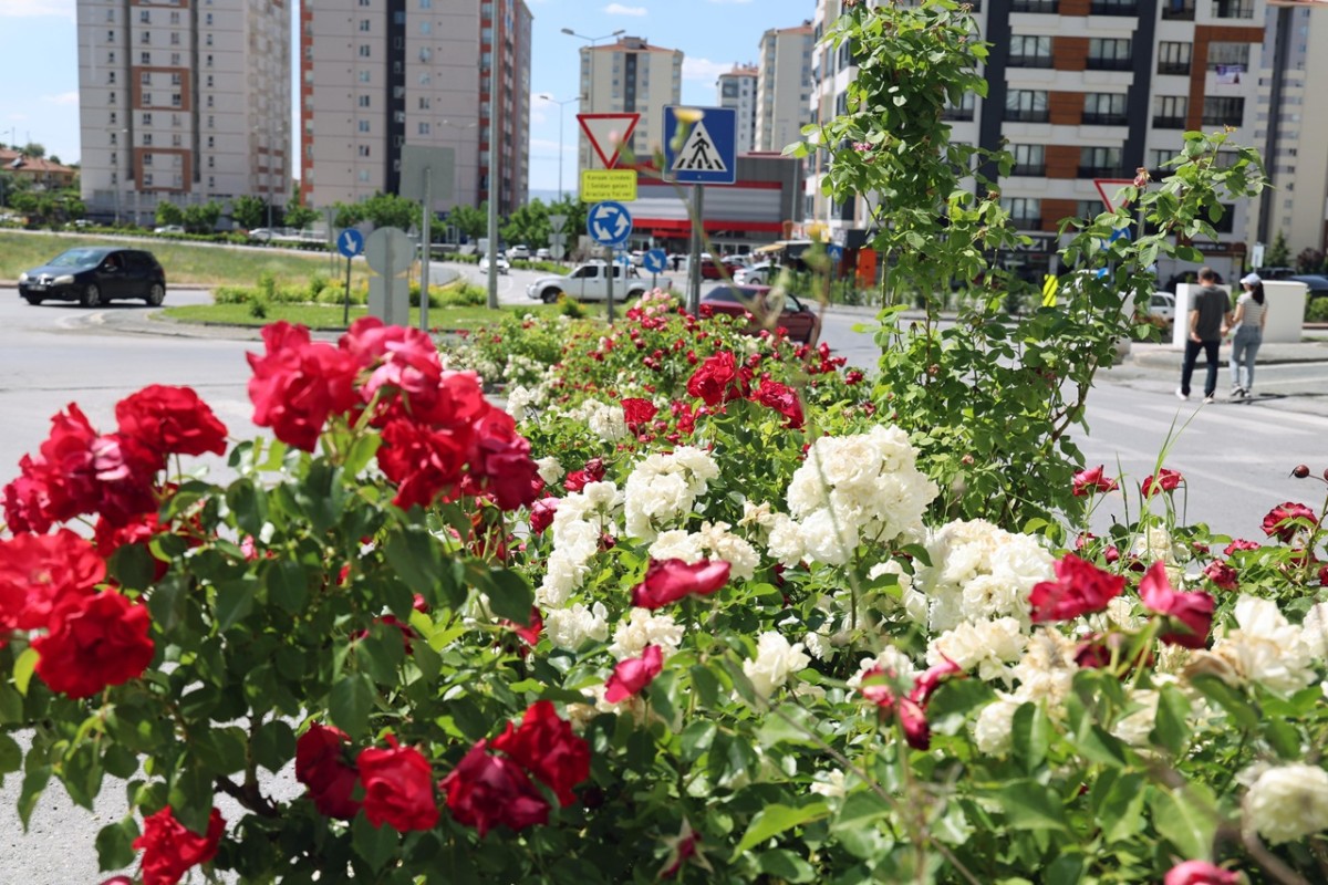Talas'ta Çiçek Yılında Sahne Güllerin 