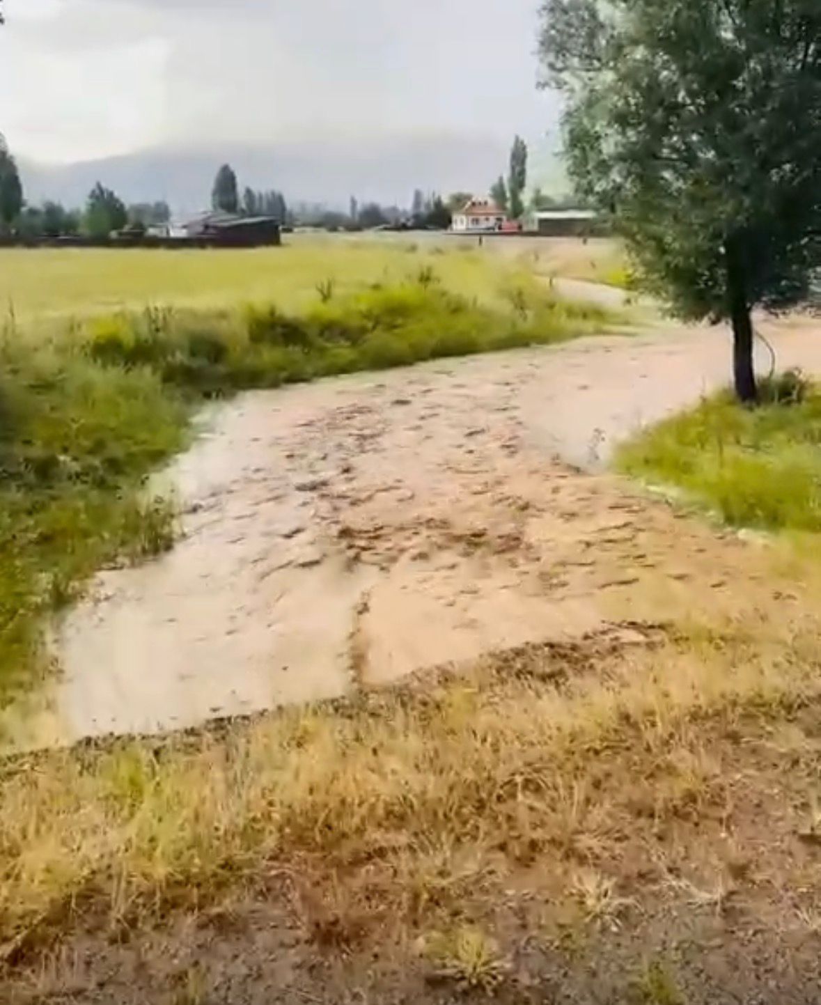 Tomarza’da Sağanak Yağış Etkili Oldu
