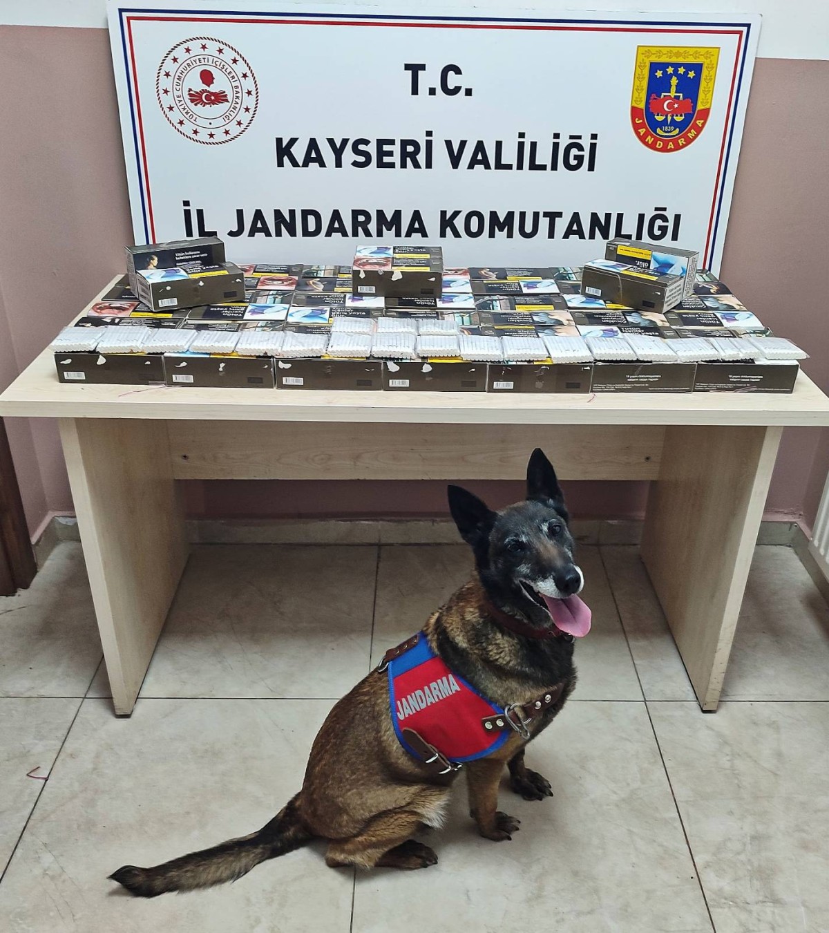 Binlerce Tütün Doldurulmuş Kaçak Makaron Ele Geçirildi