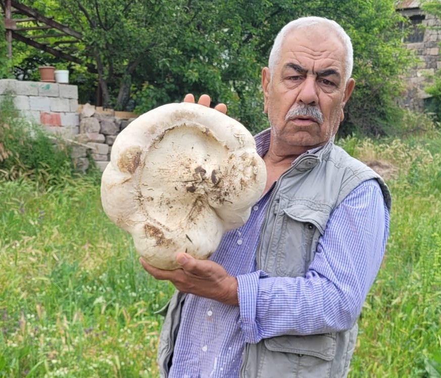 Kayseri’de 3 Kilo 400 Gram Mantar Buldu