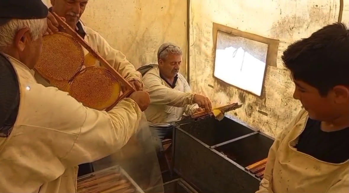 Bünyan’ın Meşhur Balında Yılın İlk Hasadı Gerçekleşti