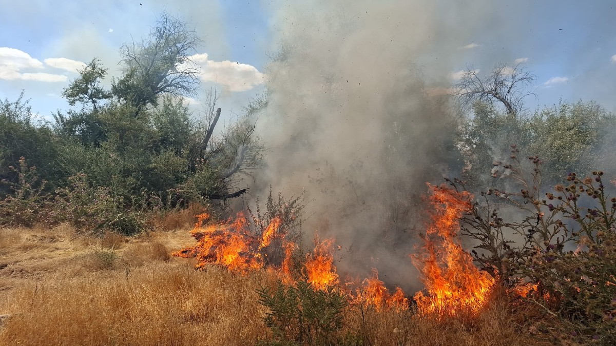 Bünyan’da Çalılık Alanda Çıkan Yangın Yulaf Tarlasına Sıçradı