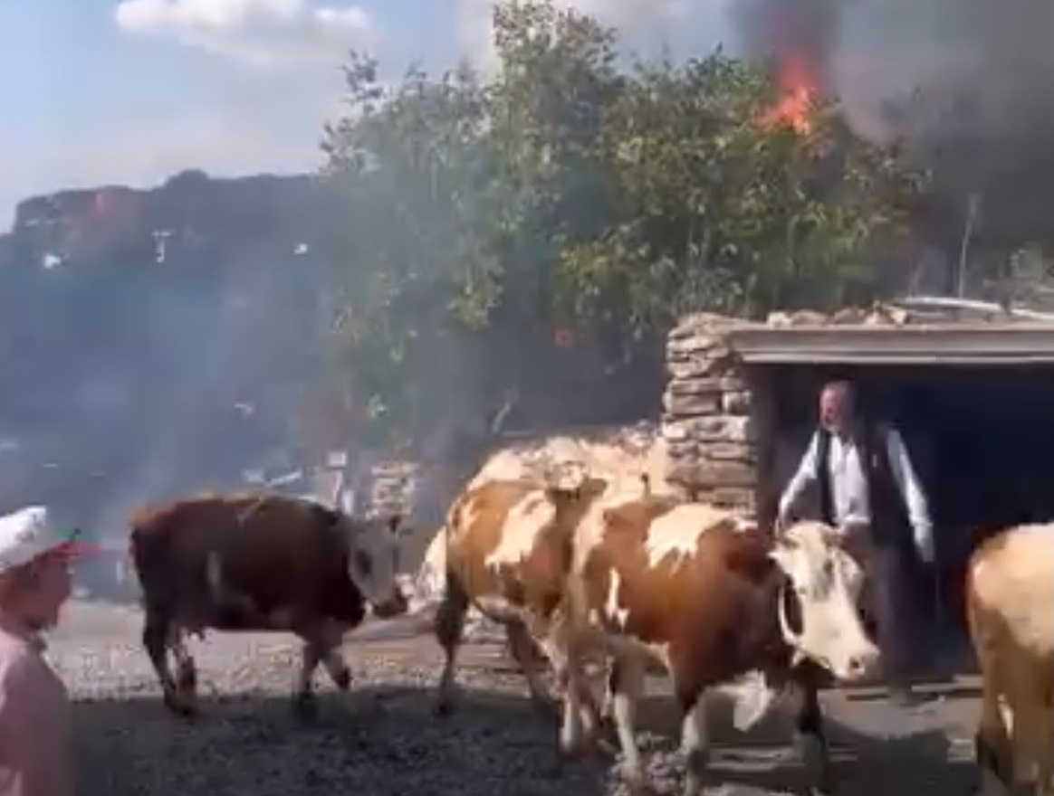 Bünyan’da Saman Balyaları Alevlere Teslim Oldu