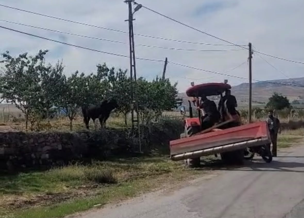 Kamyondan Kaçan Büyükbaş Hayvan Saatler Sonra Yakalandı