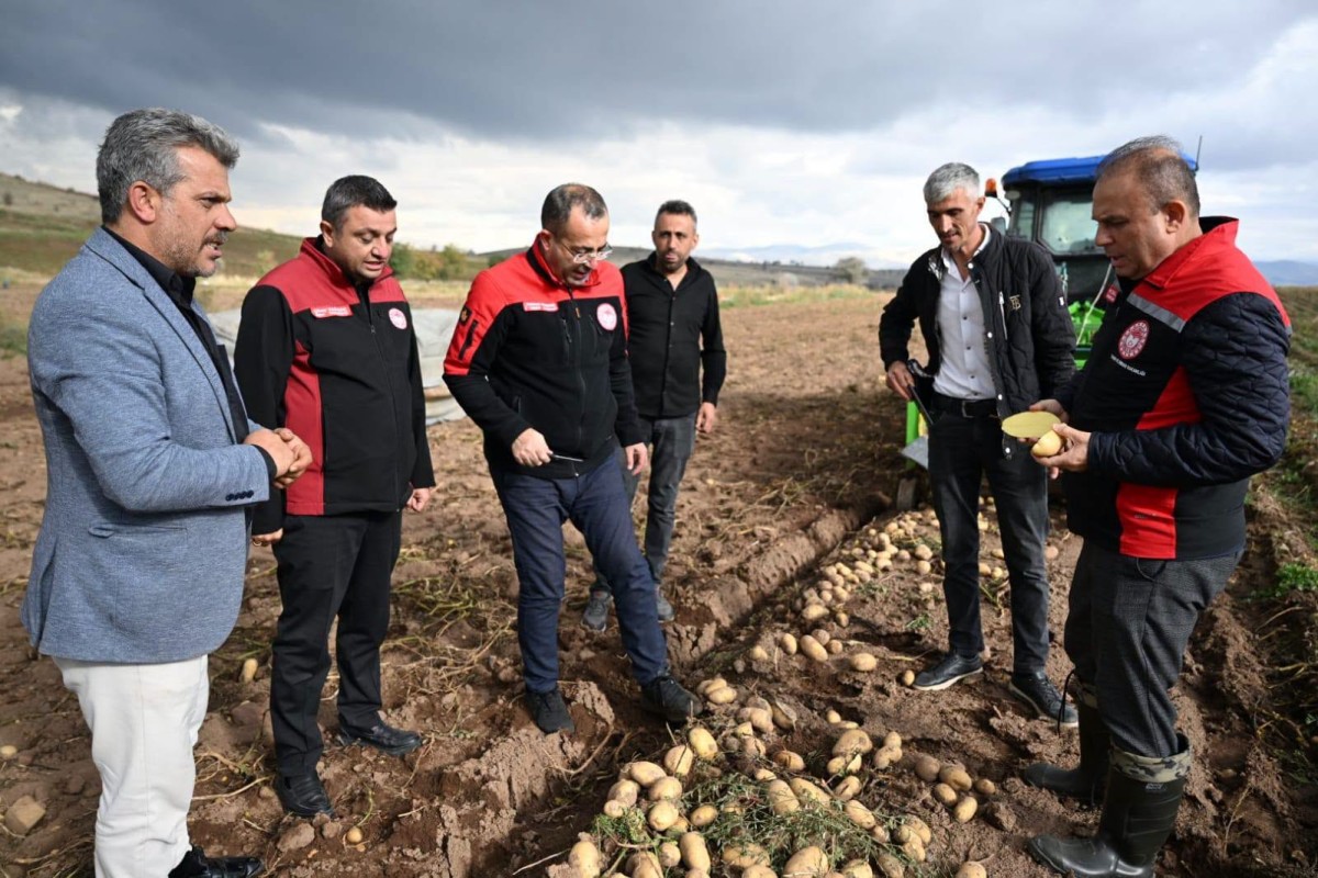  Talas’ta Patates Hasadı Yapıldı