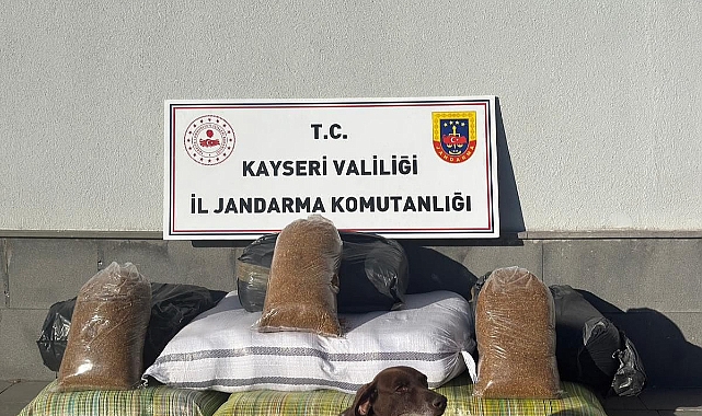 Yolcu Otobüsünde 230 Kilogram Kaçak Tütün Yakalandı