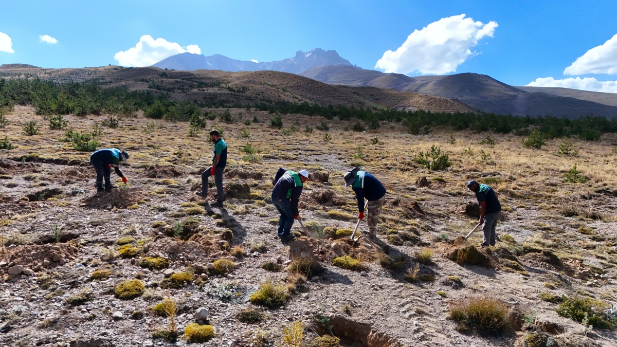 Büyükşehir’den Erciyes’in Eteklerinde Yeşil Seferberlik
