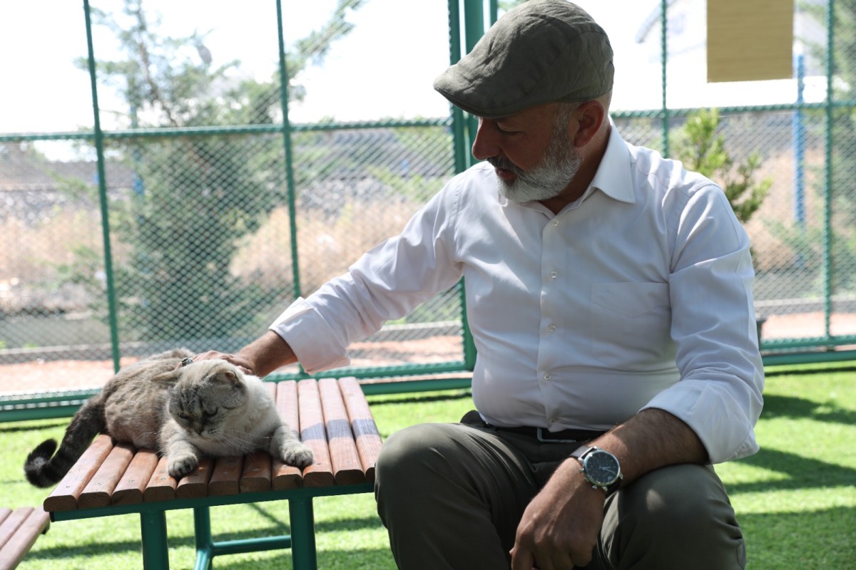  ‘Küçük Dostlar Kedi Kasabası’ Ziyaretçi Akınına Uğruyor